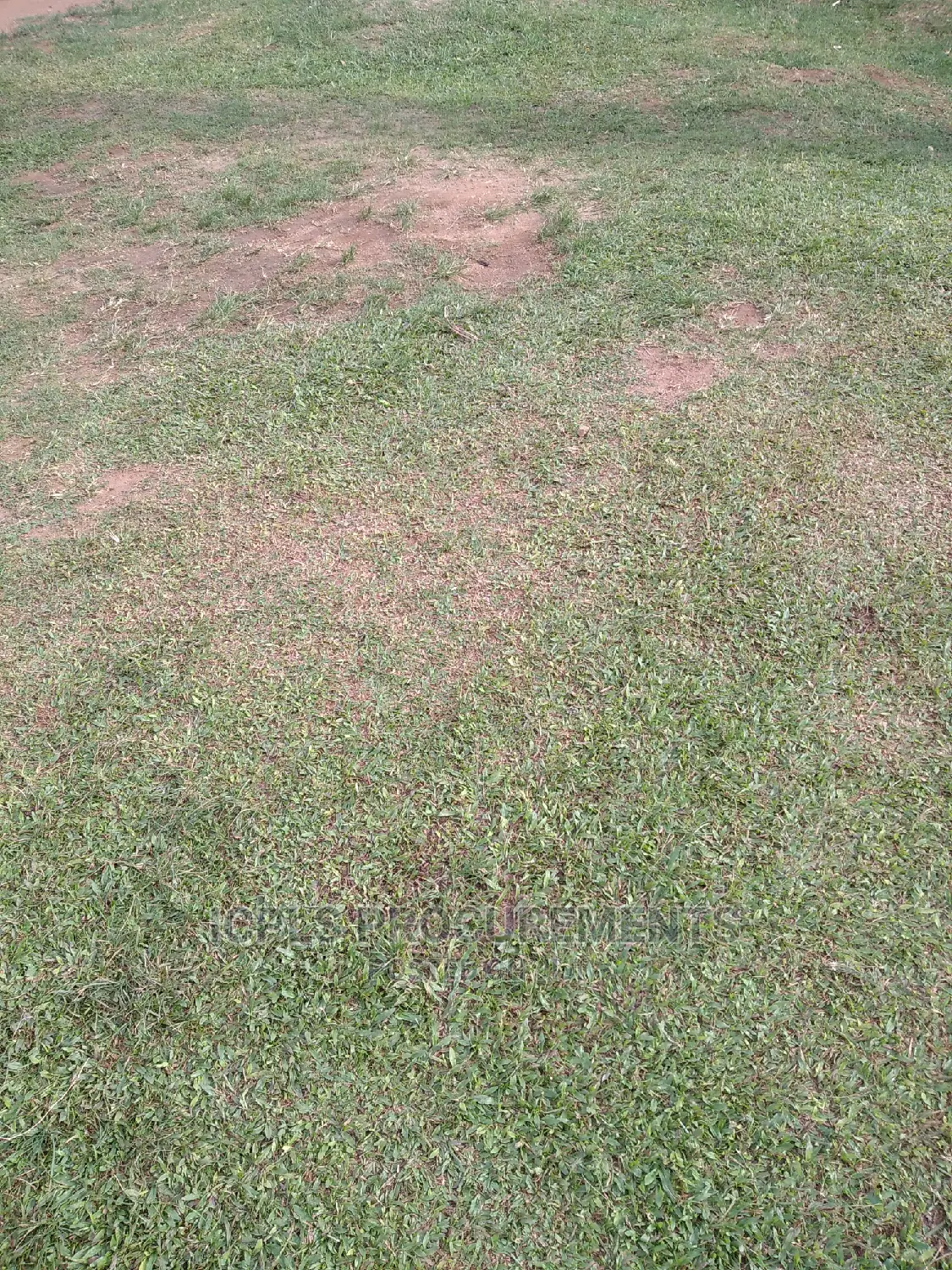5 Free Hold Titled Plots in Soroti