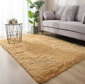 Stylish Fluffy Carpet