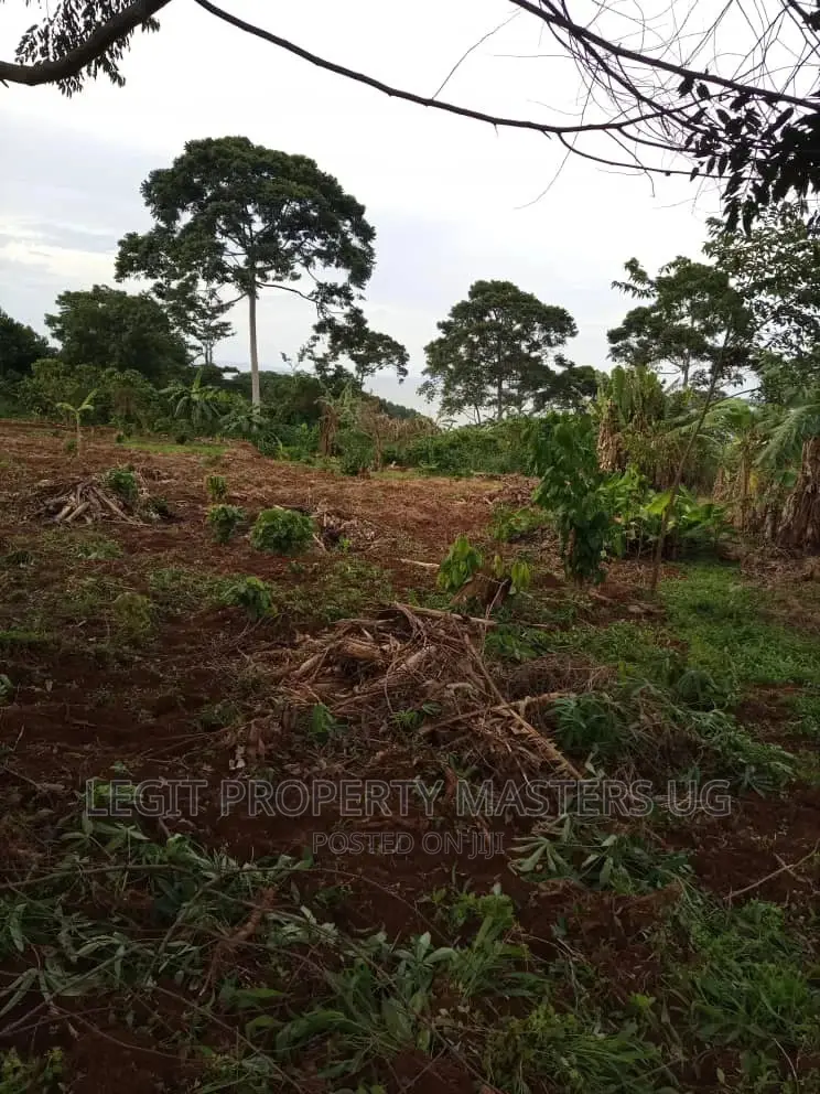Cheap Land on Entebbe Road