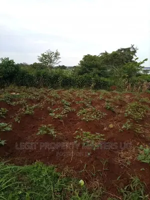 Cheap Land on Entebbe Road