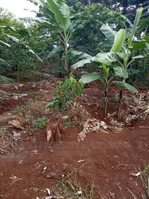 Cheap Land on Entebbe Road