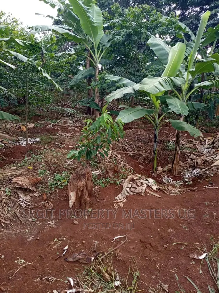 Cheap Land on Entebbe Road