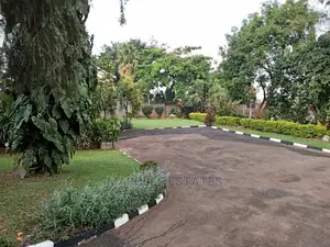 5bdrm Bungalow in Naguru, Central Division for Rent