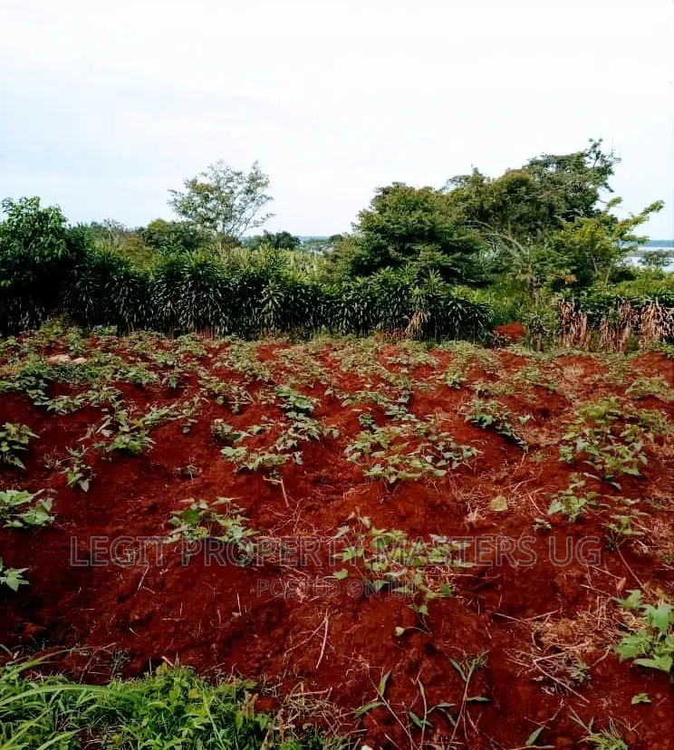Cheap Land on Entebbe Road