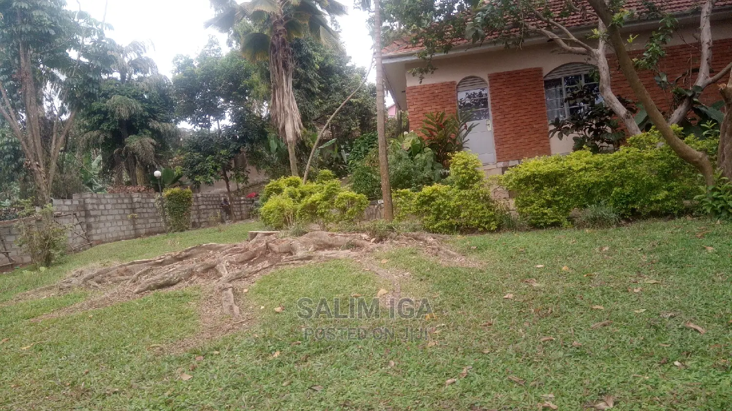 4bdrm Bungalow in Kololo Property, Central Division for Rent
