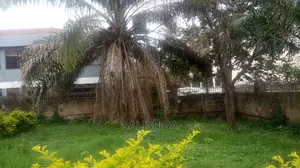 4bdrm House in Kololo Property, Central Division for Rent