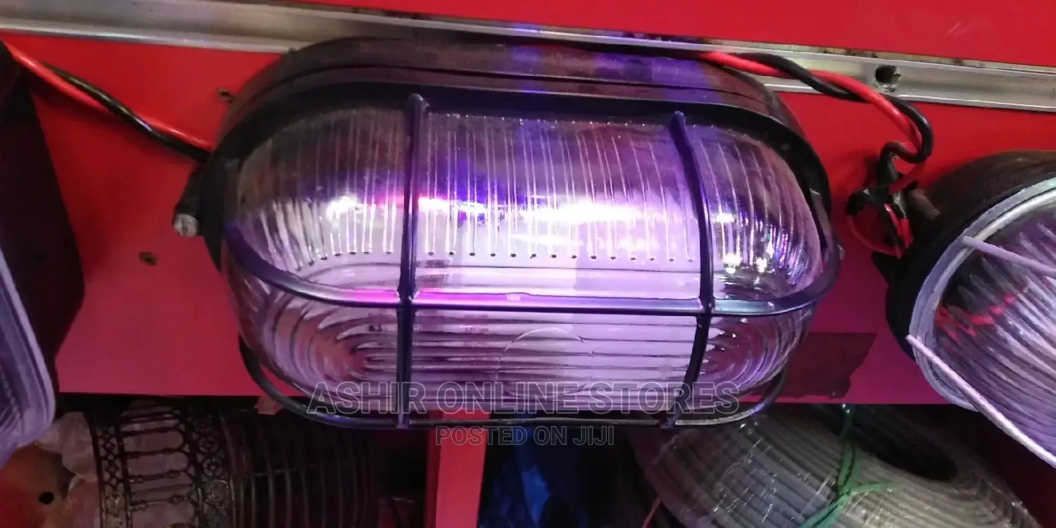Clear Wall Security Light