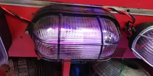 Clear Wall Security Light
