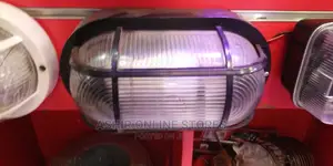 Clear Wall Security Light