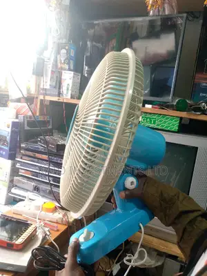 Kaile Wall Fan