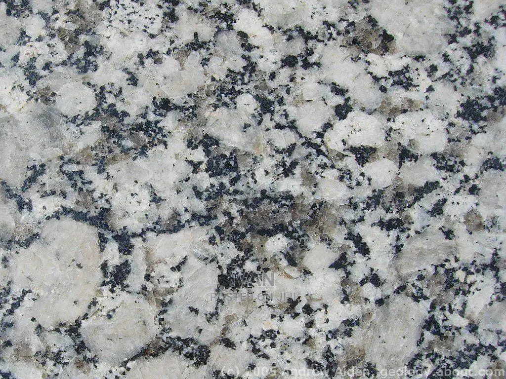 Imported Granite and Marble