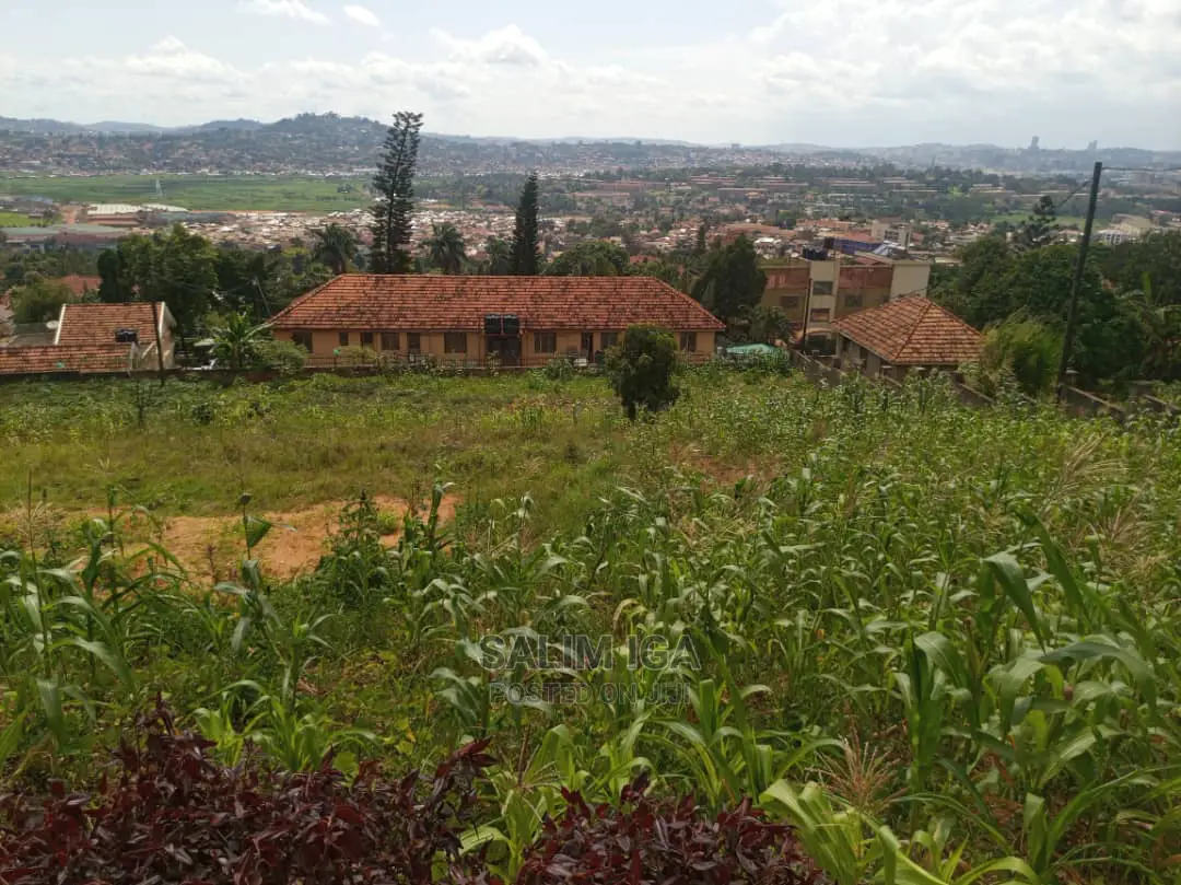 Hill Top View Plot