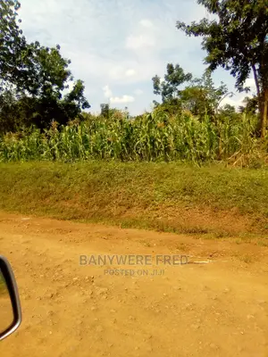 50/100 Plot for Sale in Namagabi Kayunga District