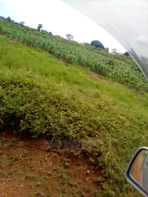 4acres of Farmland in Buntasi Kamuli