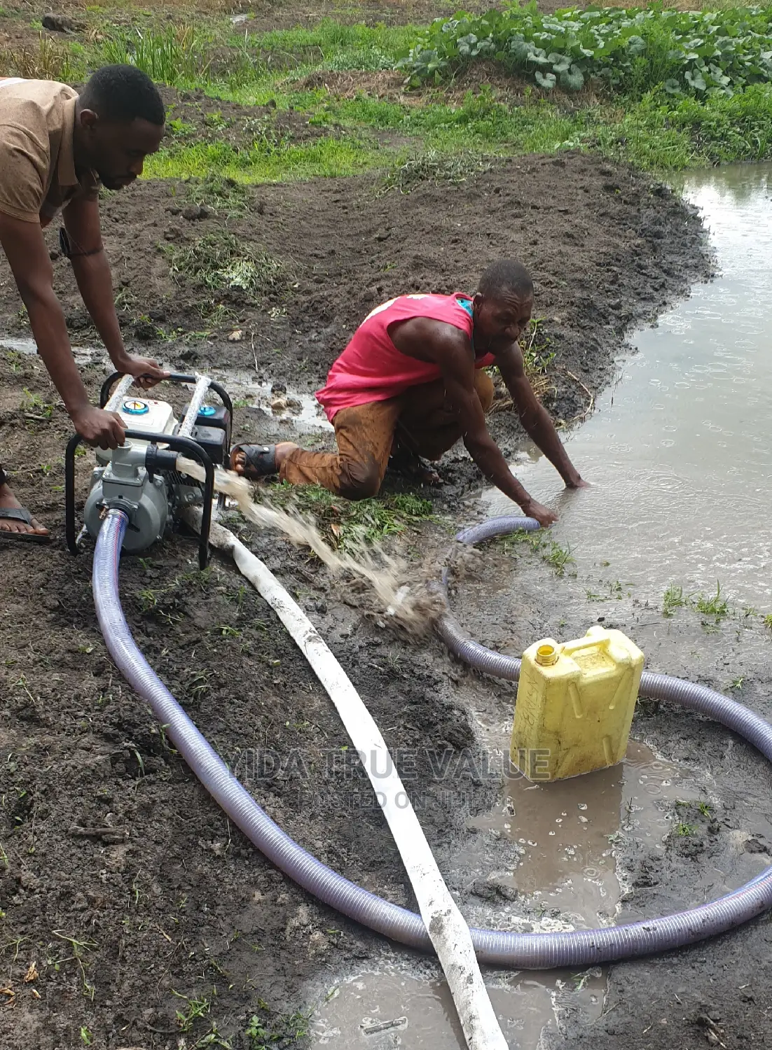 Water Pump Surface