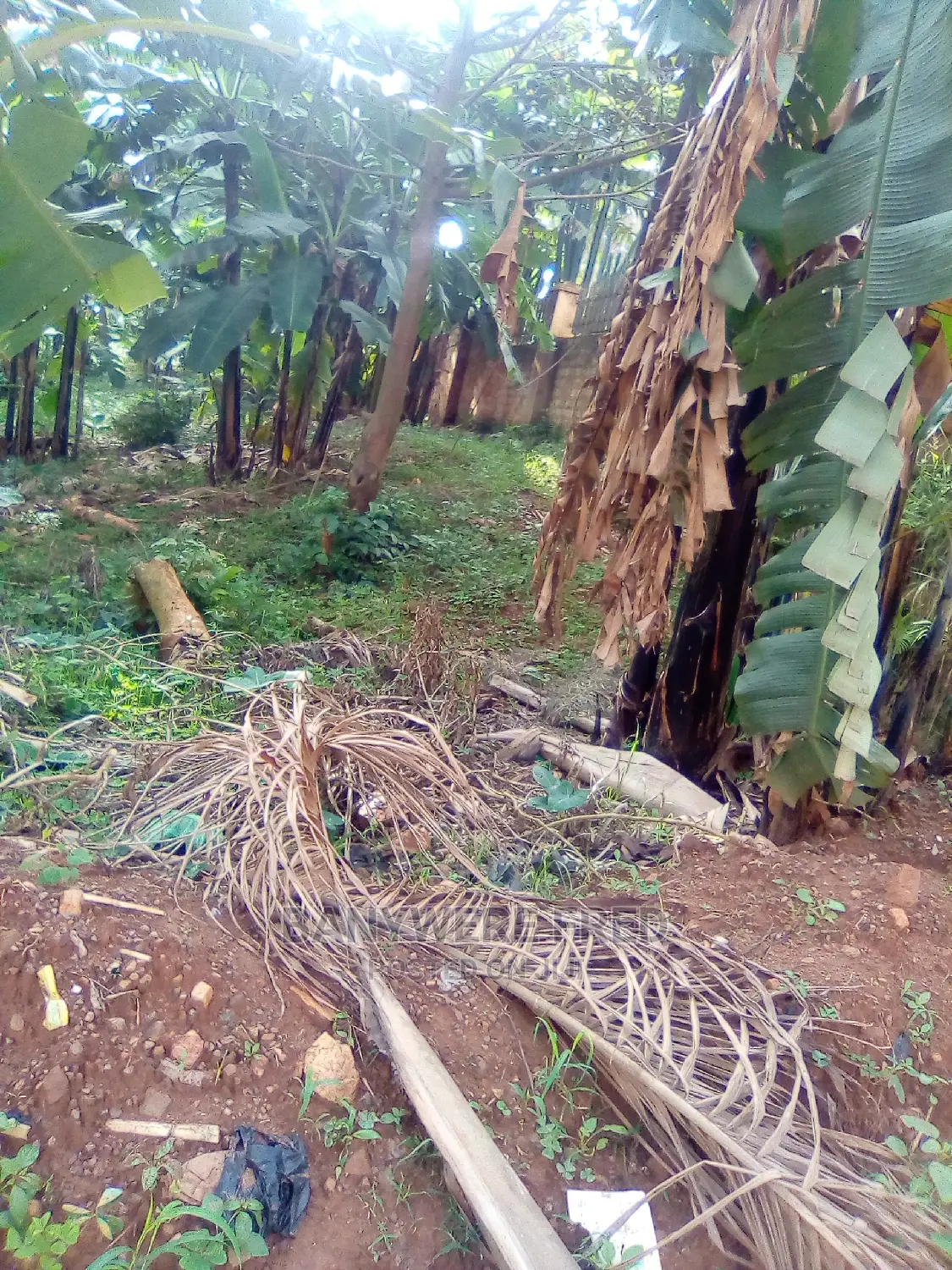 Ten Acres of Land at Namave Industrial Area on Sale
