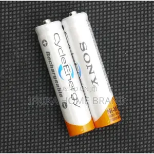 Sony Rechargeable Battery (AA) 2 in 1