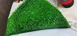 Plastic Grass