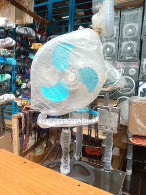 Smile Metallic Fan