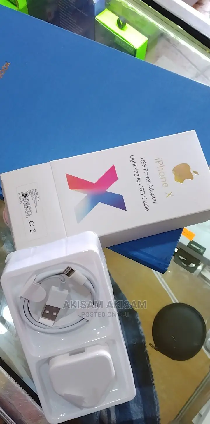 iPhone Charger