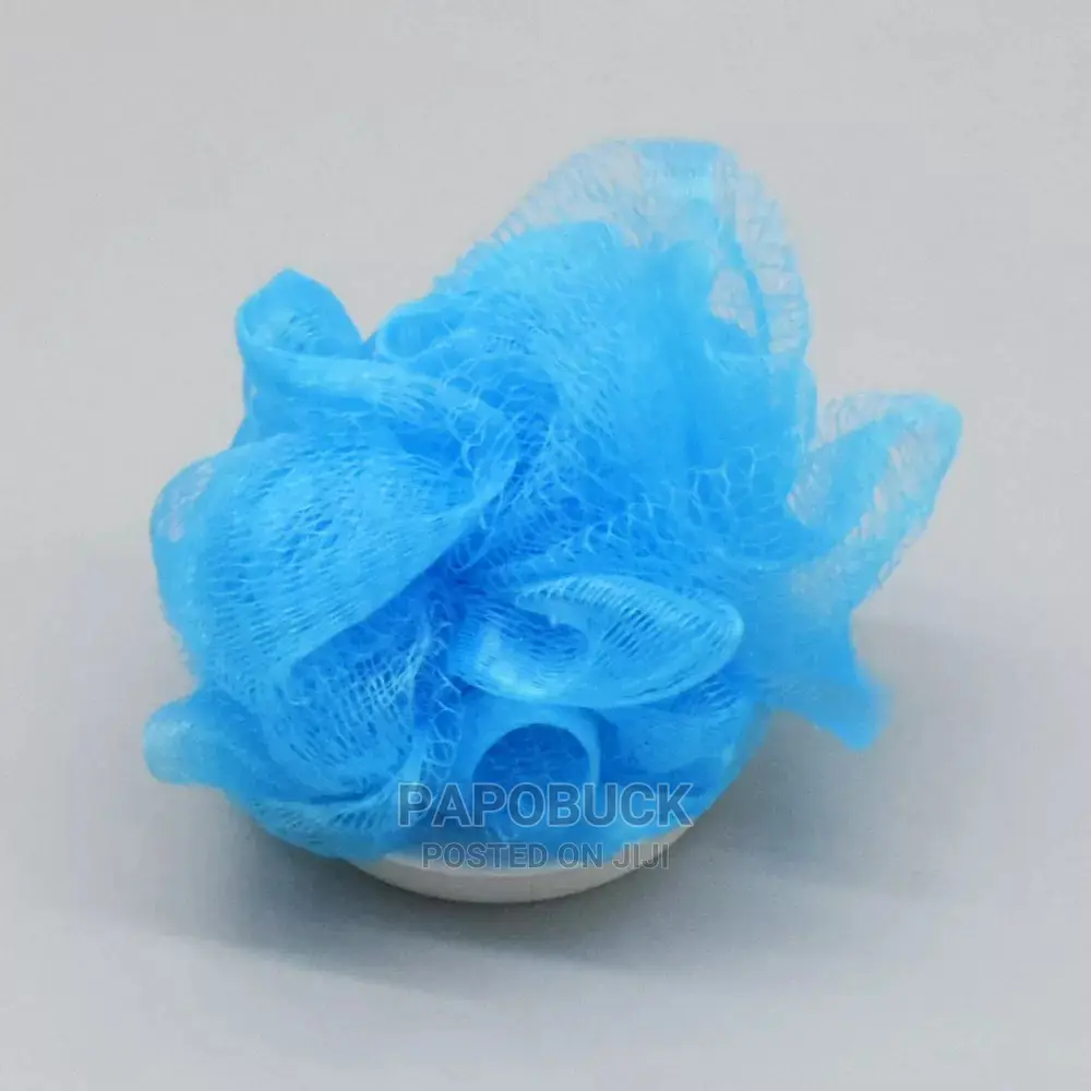 Spin Spa Brush