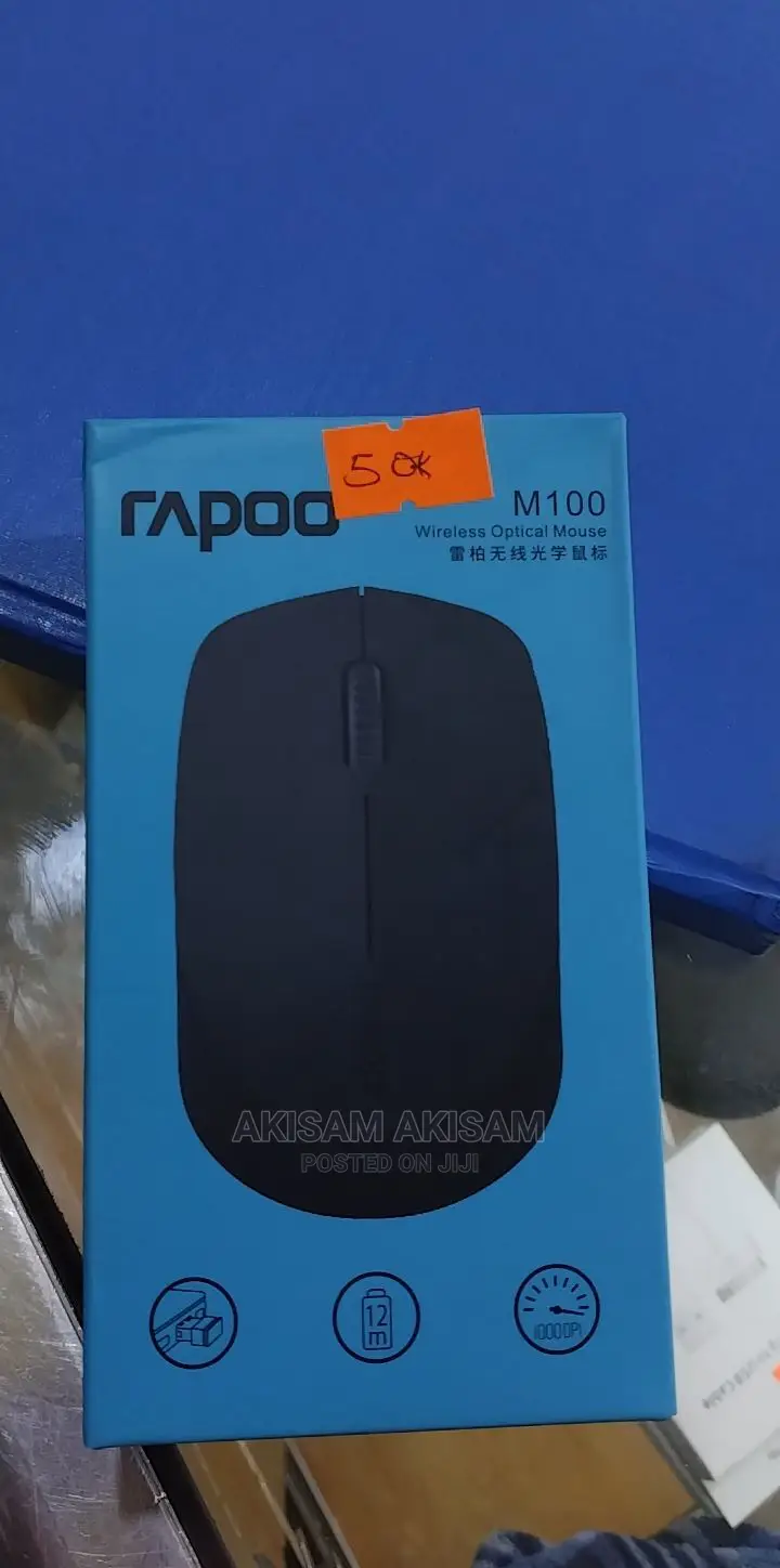 Rapoo Mouse