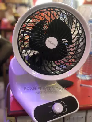 Portable Fan