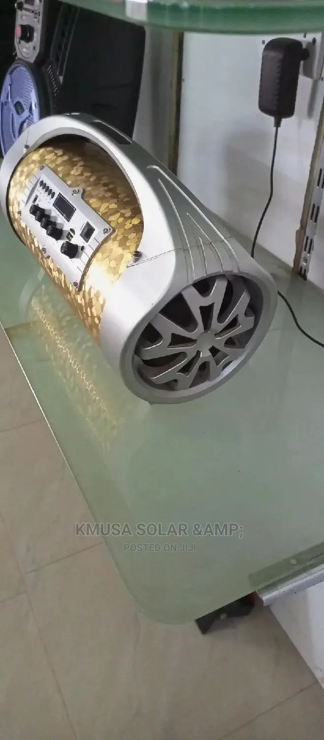 Ailipu Car Subwoofer