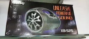 Ailipu Car Subwoofer