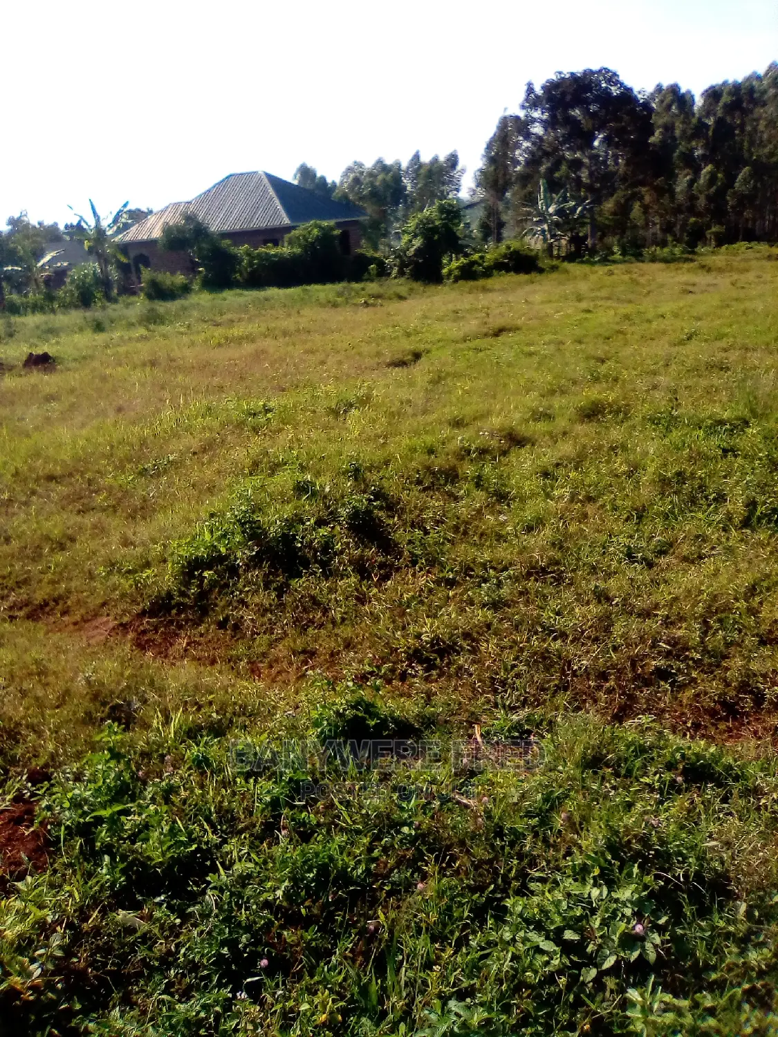 6acres of Farmland in Nakwero