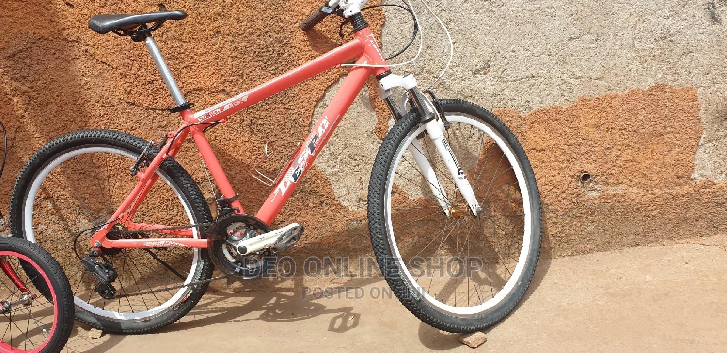 Lespo Stinger Mountain Bike in Central Division Sports Equipment, Deo