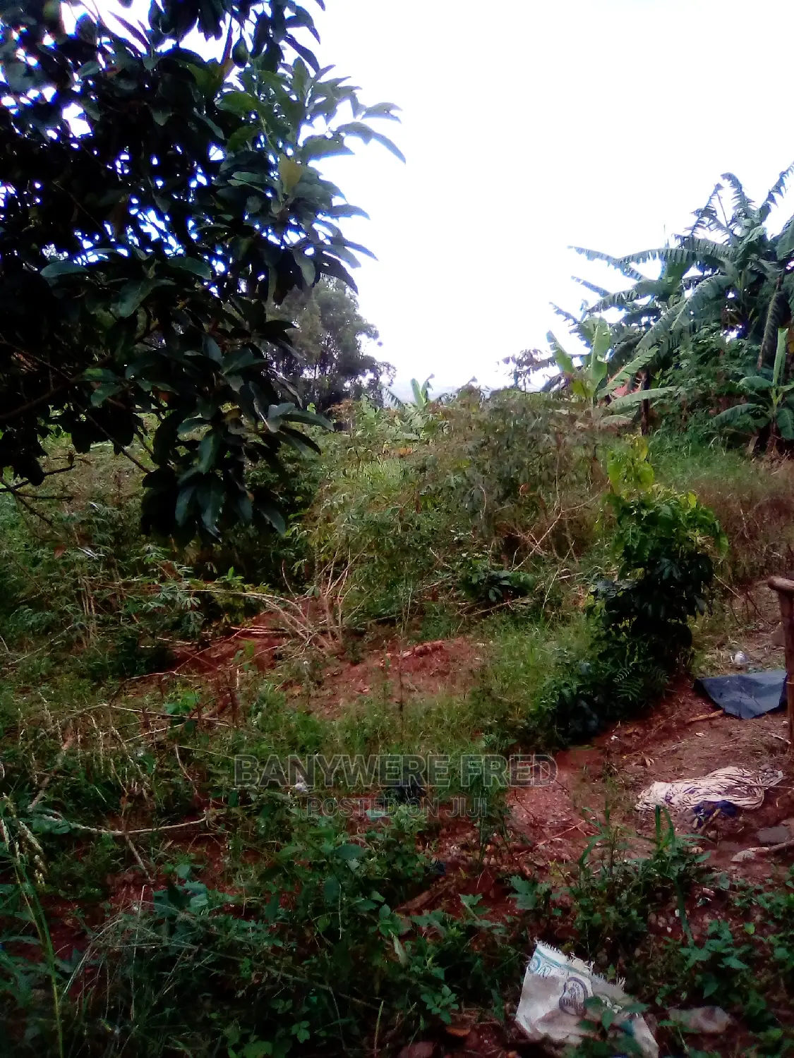 12acres of Farmland in Nama