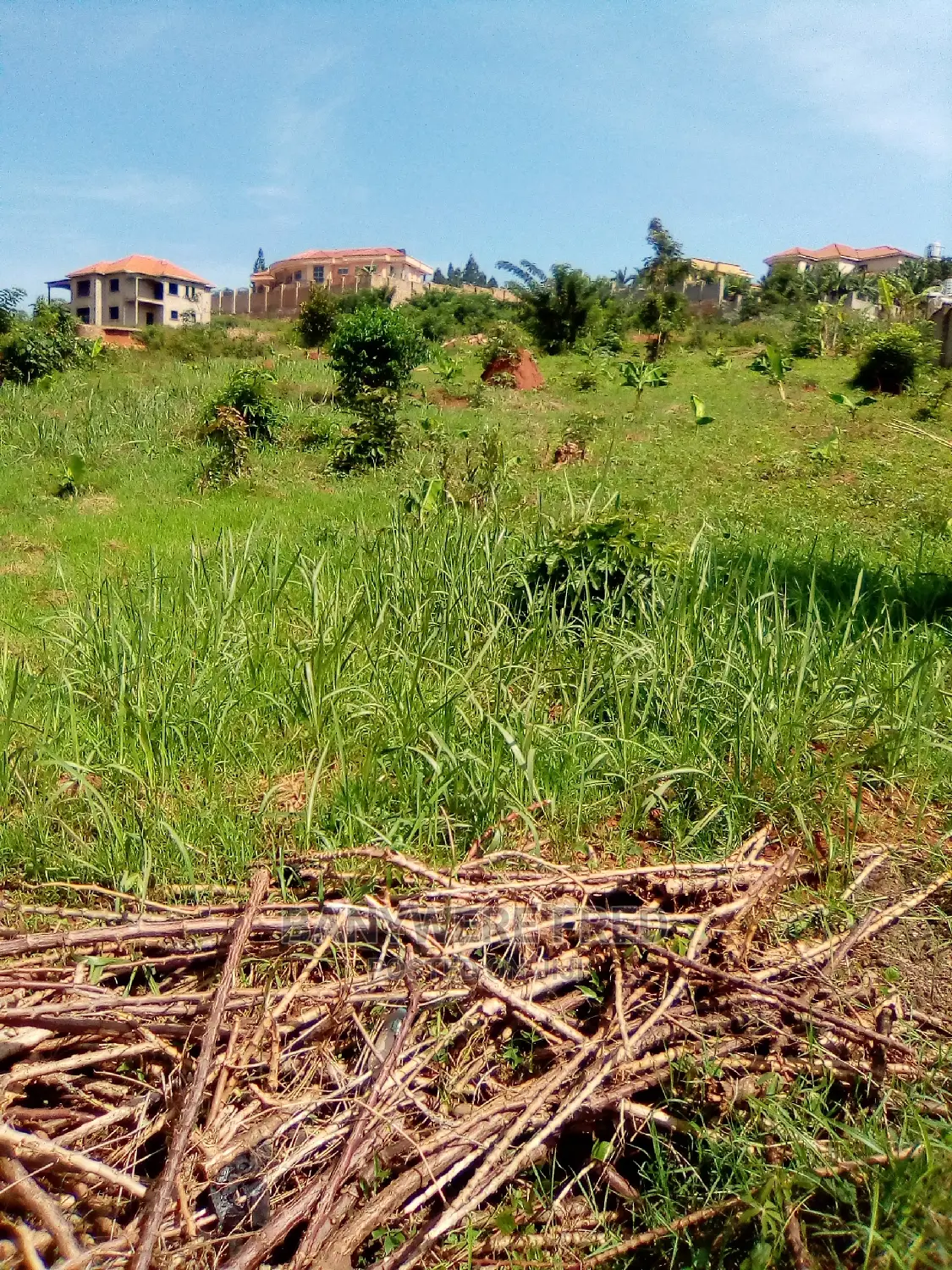 50/100 Plot for Sale in Gayaza Manyangwa