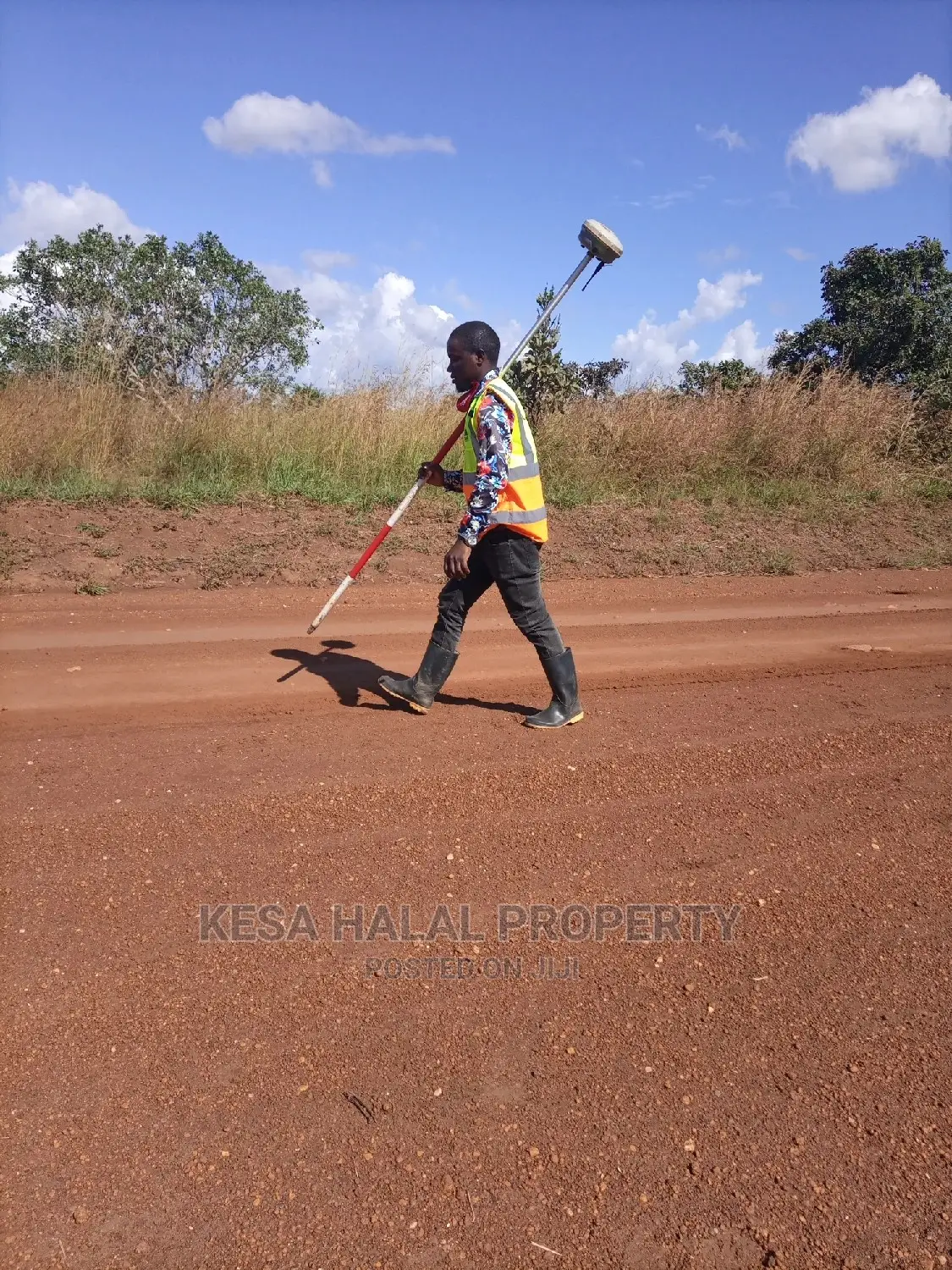 Professional Surveying Services.