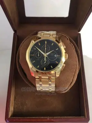 Tissot Watch