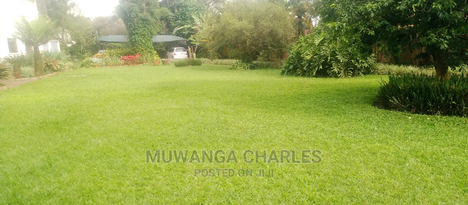 Furnished 2bdrm Apartment in Fs Properties Ltd, Central Division