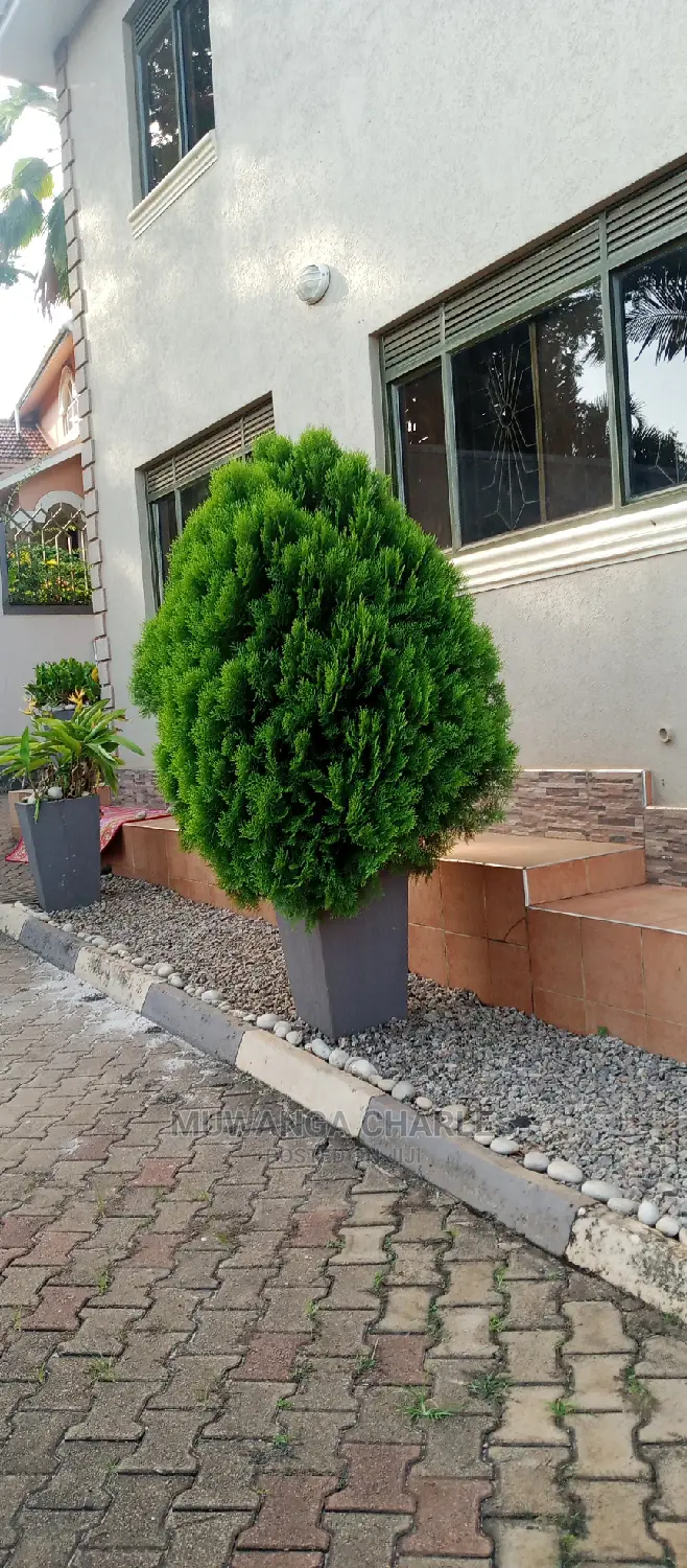 5bdrm Maisonette in Fs Properties Ltd, Central Division for Rent