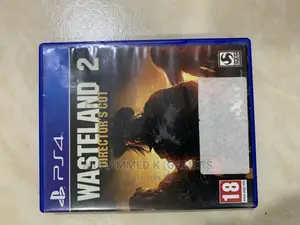 Wasteland 2