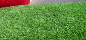 Artificial Tuff Grass