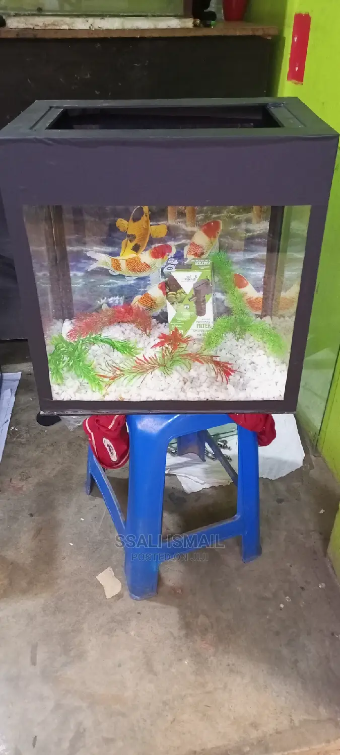Anice Aquarium