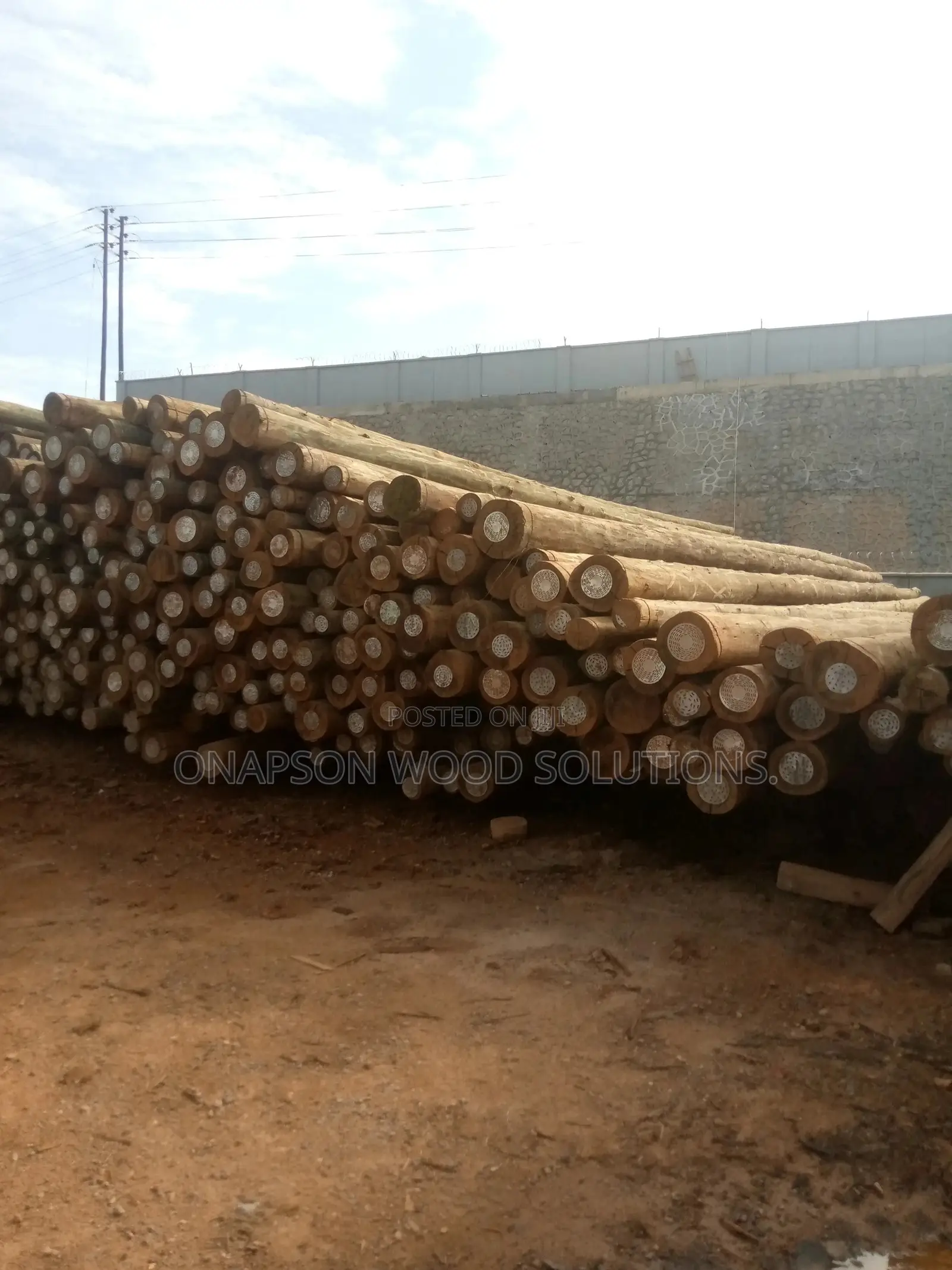 Treatment and Seasoning of All Kinds of Wood