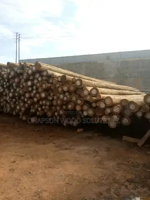 Treatment and Seasoning of All Kinds of Wood