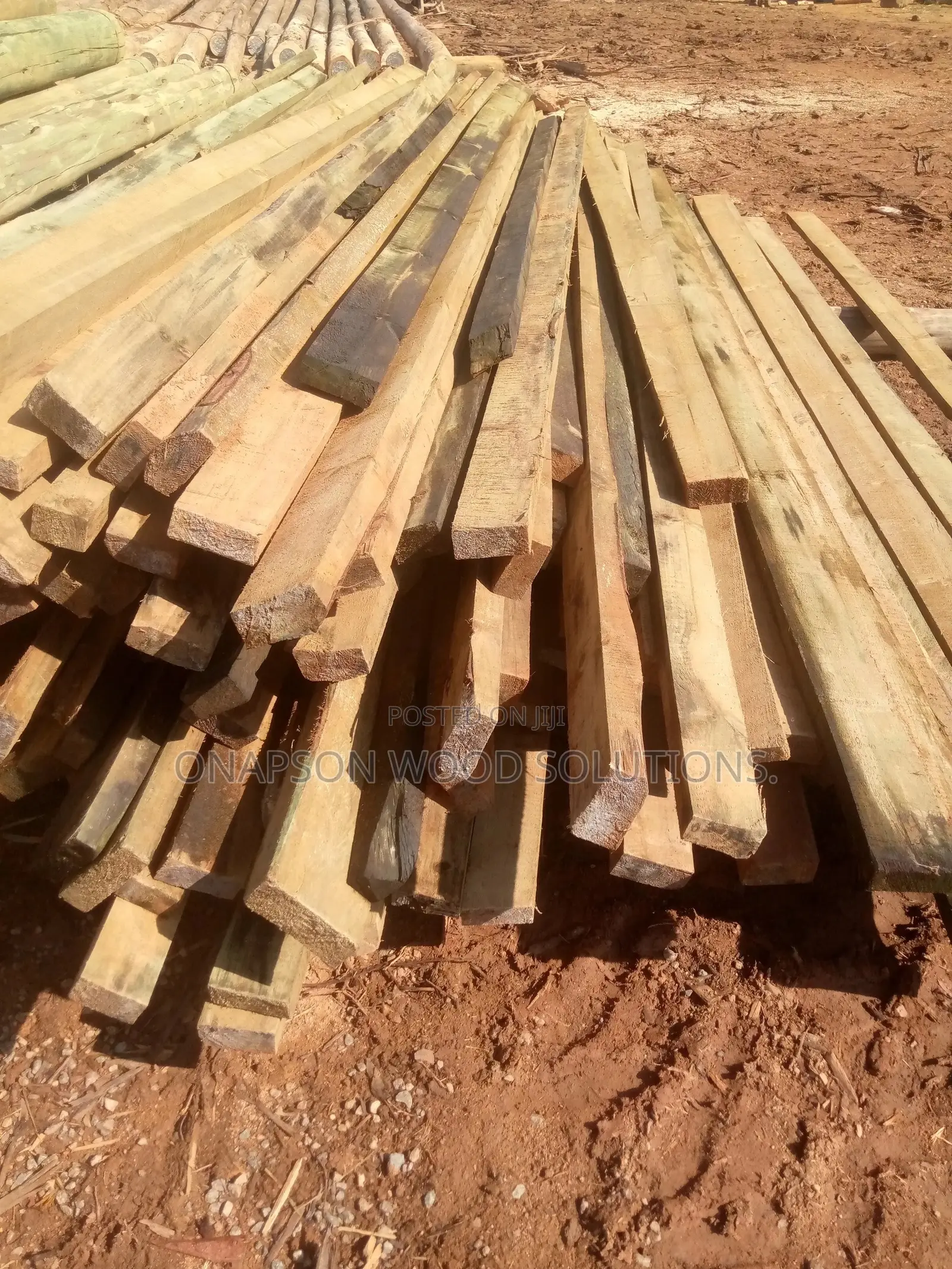 Treatment and Seasoning of All Kinds of Wood