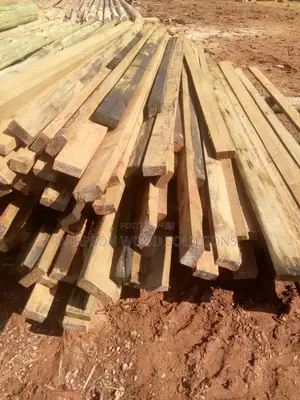 Treatment and Seasoning of All Kinds of Wood