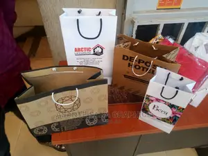 Take Away Packaging Bags For Restaurant And Shops.