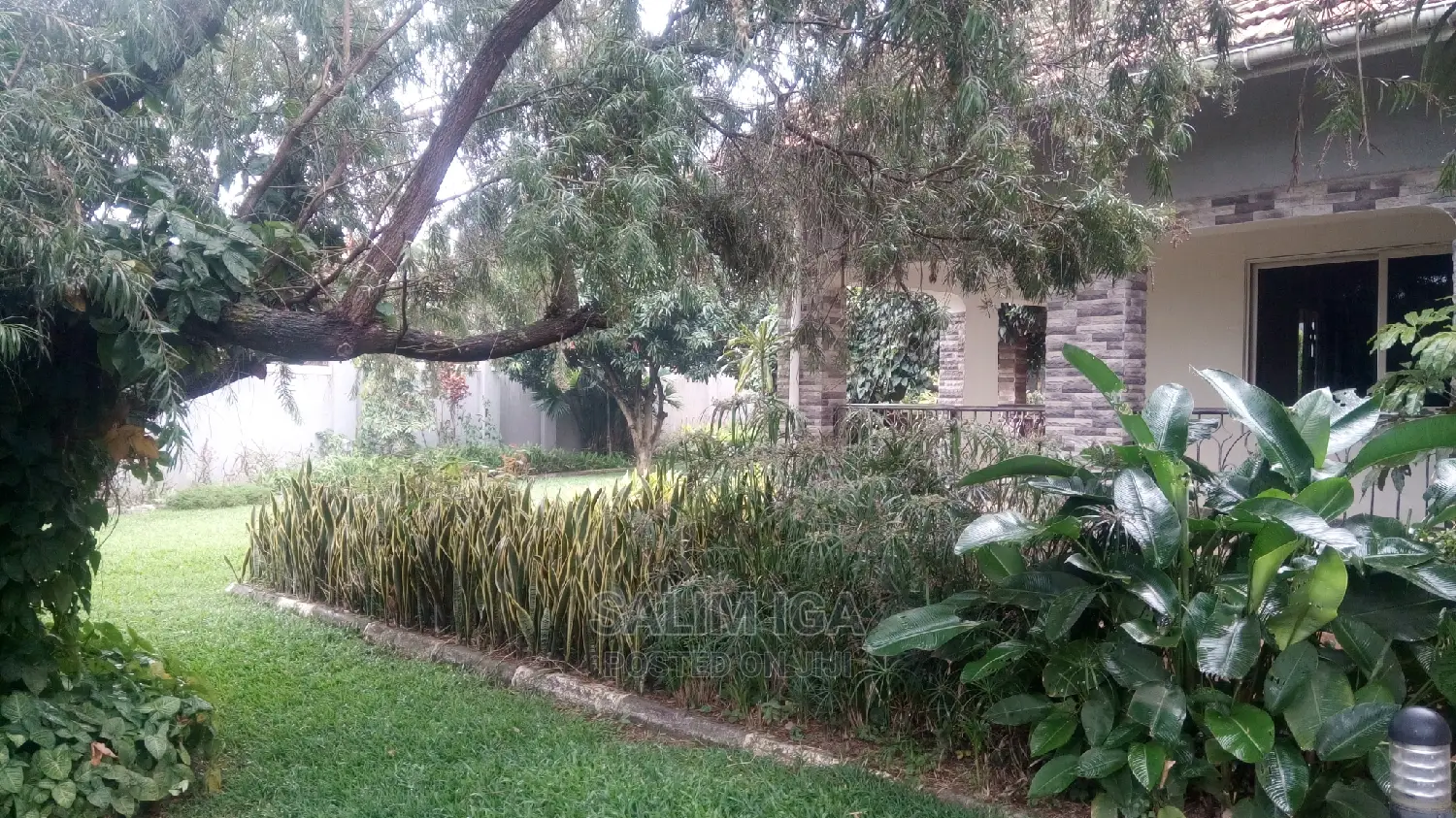 5bdrm Bungalow in Kololo Property, Central Division for Rent