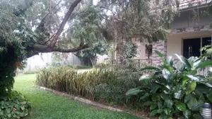 5bdrm Bungalow in Kololo Property, Central Division for Rent