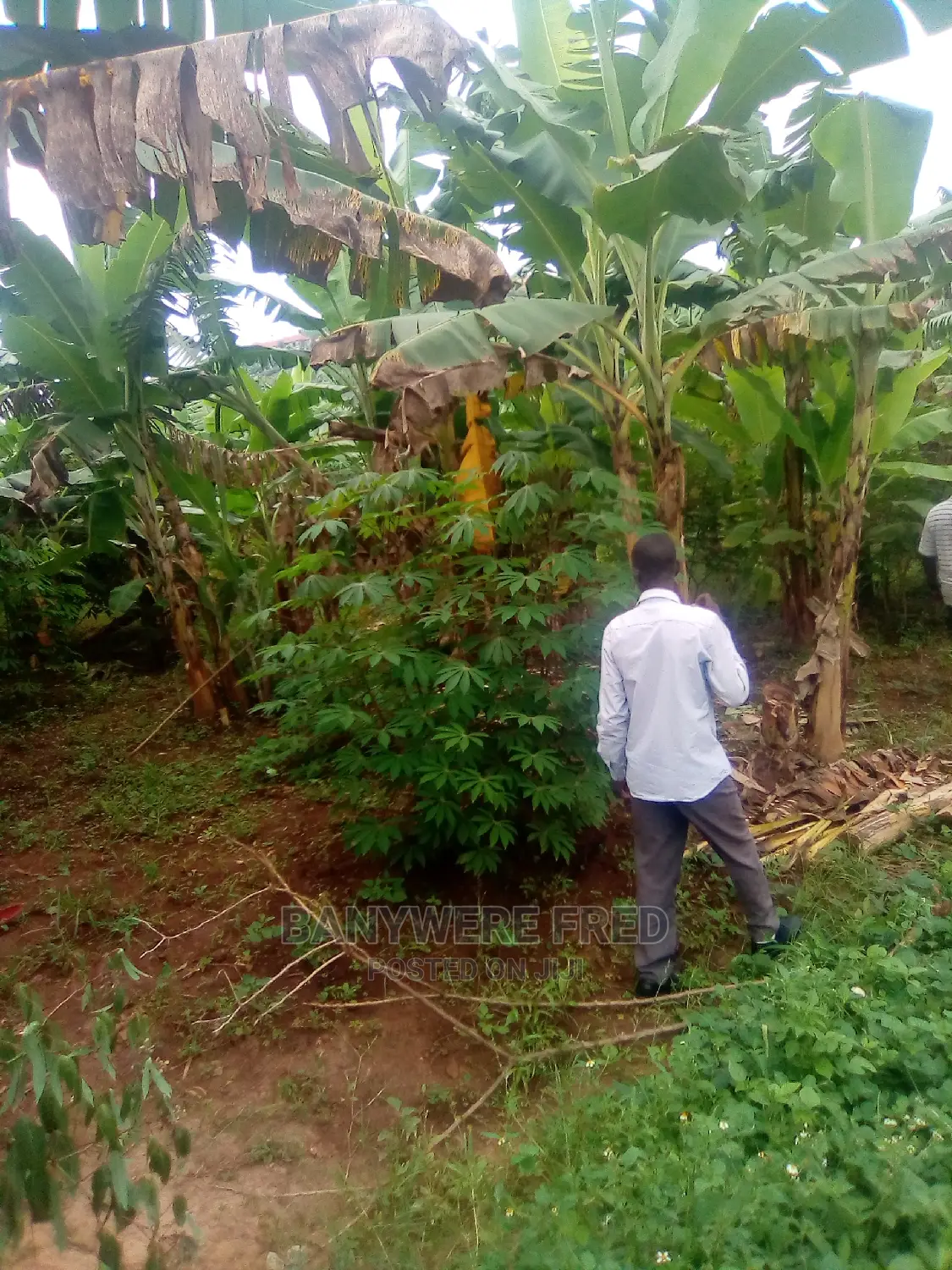 5acres for in Kiwoko Luwero