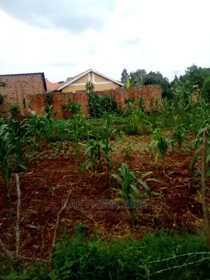 50/100 Plot for Sale in Mpigi