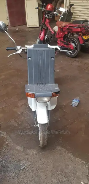Suzuki GSX / Katana 2015 White